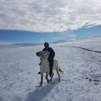 Julia & Lena的照片