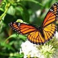 Photos de Natalia Perel