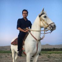 Arash Safari's Photo