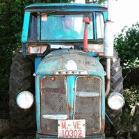 Negro Miramontes的照片