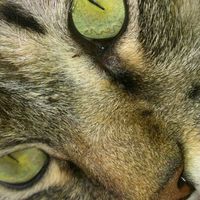 Kung Hsuan Chang's Photo