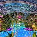 Spa Day at Therme Bucharest 's picture