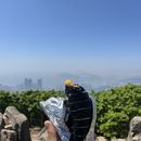 Sunday hiking ⛰️'s picture