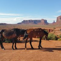 Pilet Anthony's Photo