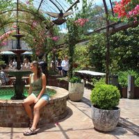 Sophia  Guthke's Photo