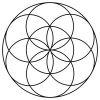 Nikola Ristevski's Photo