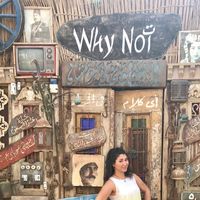 Mora Girgis的照片