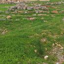 Free Acropolis & Museums's picture