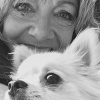 Bonnie Herman's Photo