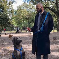 Yotam Perets's Photo