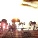 Let's play in the park的照片