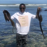 Valeli Bugota的照片