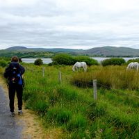 Emilie Marlene's Photo