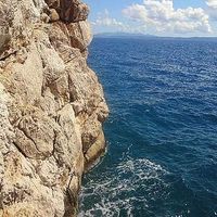 Charlotte Brown's Photo