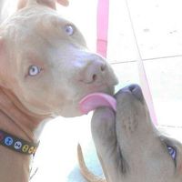 Fotos de Michael Hill