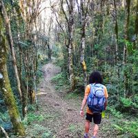 Fotos von John Veiga