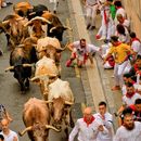 San Fermin In Pamplona's picture