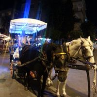 babak Khoda的照片