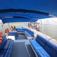 Alejandro  Castañeda's Photo