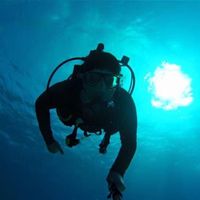 Fotos von José mesquitum