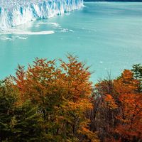 RAFAL FLORIAN的照片