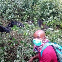 Jean de la Croix Amani's Photo