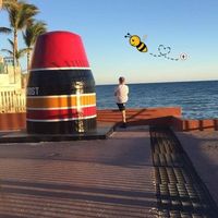 Matthias Wilcke's Photo