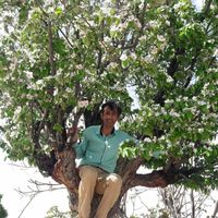 Fotos de Ali Hajiarab