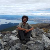 Fotos de roy steinberg