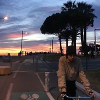 Fotos von Alexandro Archer