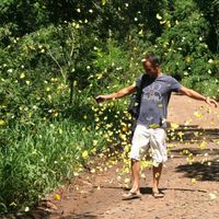 Manuel Trigueros's Photo