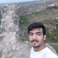 Hamid Gholamalian的照片