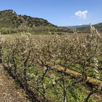 Fotos von Courtney Collin