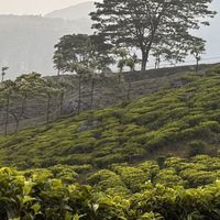 Noor Mohamed's Photo