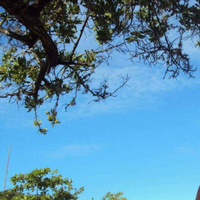 Pedro Penedo的照片