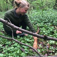 Grace Martenson's Photo