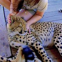 Jordyn Smith's Photo