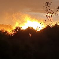 Miriam Müller's Photo