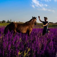 Le foto di bilal seçkin