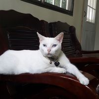 lupe verche的照片