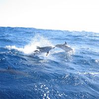 Zeno Di Bennardo's Photo