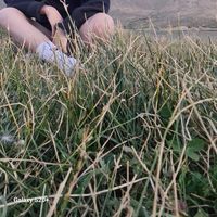 Maria Mendez's Photo