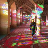 Nam-Hai Hoang的照片