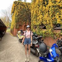 Bella Antika's Photo