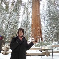 misaki kashiwa's Photo