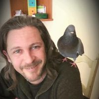 fabrice majone's Photo