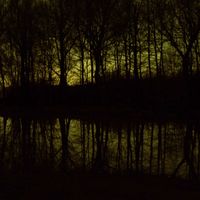 Martijn Mintjes的照片