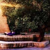 Fotos von Sean Conner