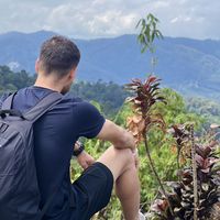 Anwer Jihad的照片