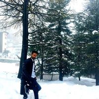 Majumdar Gaurab的照片